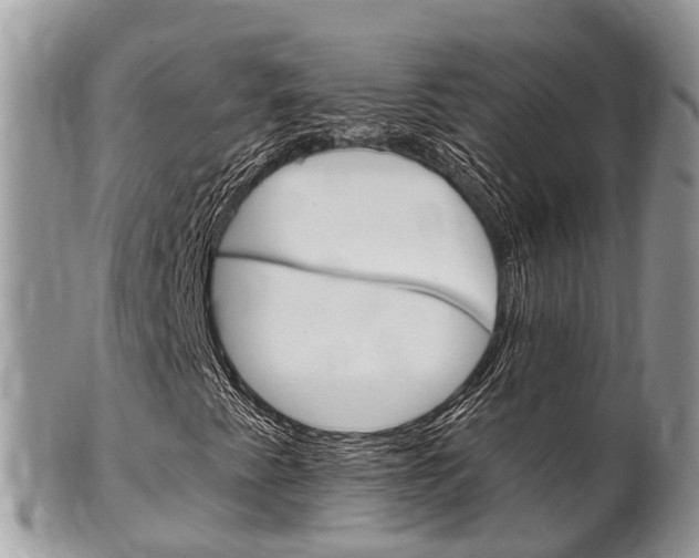 X0000102791345200808180945