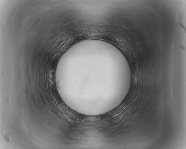 X0000102791346200808180945