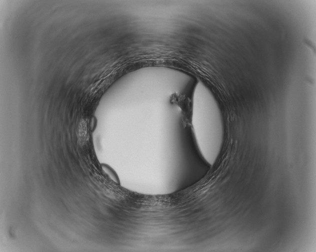 X0000102791347200808180945