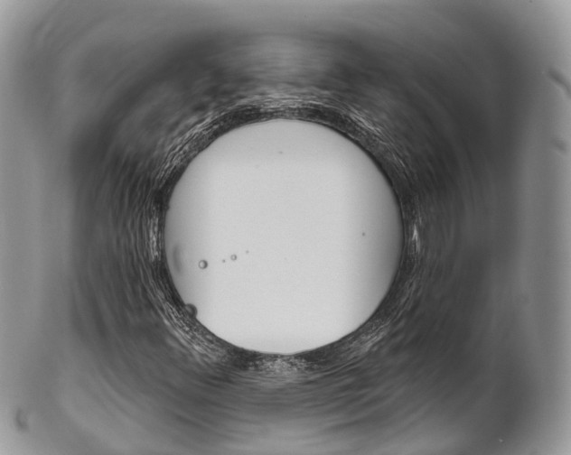 X0000102791348200808180945