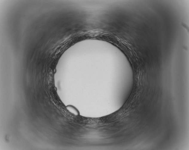 X0000102791349200808180945