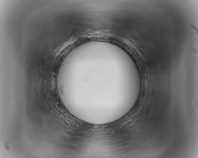 X0000102791350200808180945