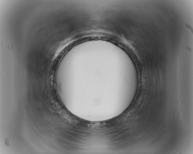 X0000102791352200808180945