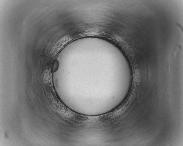 X0000102791353200808180945
