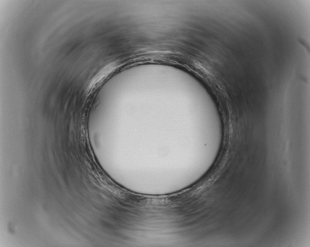 X0000102791354200808180945