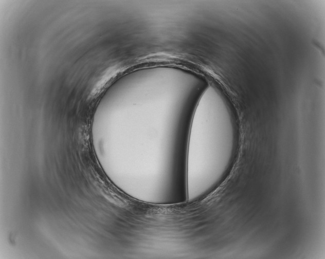 X0000102791355200808180944