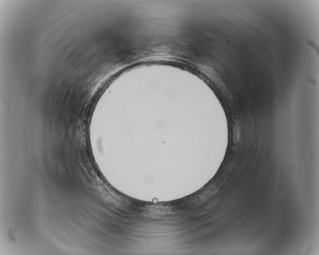 X0000102791356200808180944