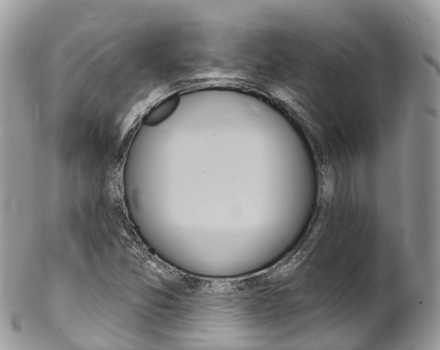 X0000102791357200808180944