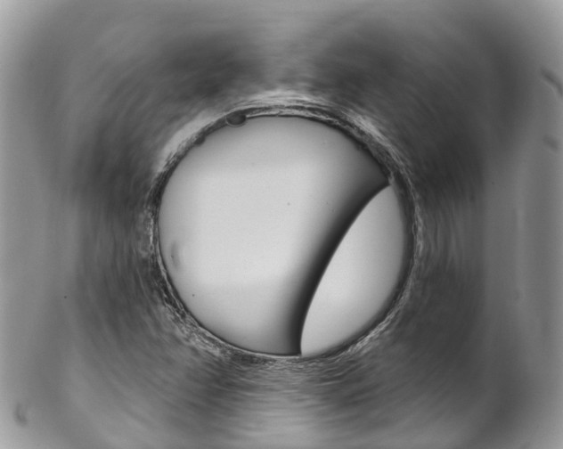 X0000102791358200808180944