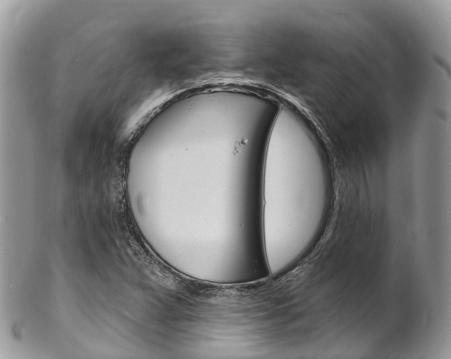 X0000102791359200808180944