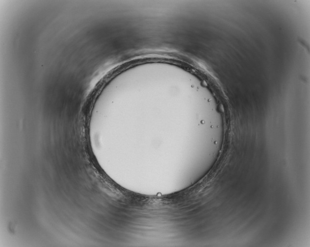 X0000102791360200808180944