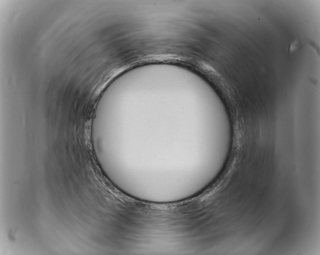 X0000102791361200808180944