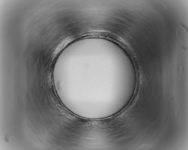 X0000102791362200808180944
