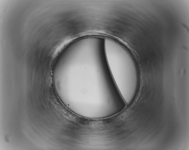X0000102791363200808180944