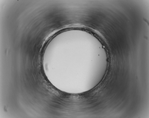 X0000102791364200808180944