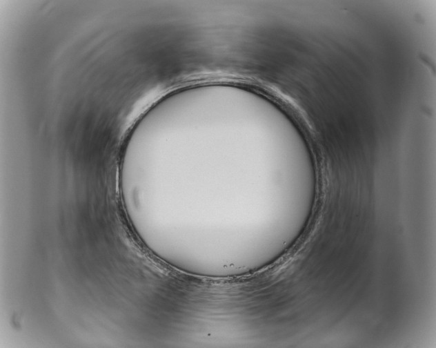X0000102791365200808180944