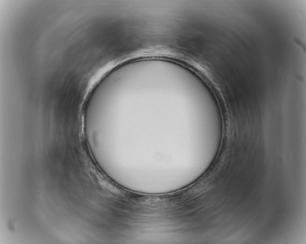 X0000102791366200808180944