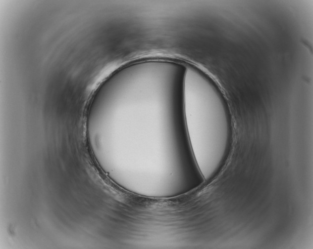 X0000102791367200808180944