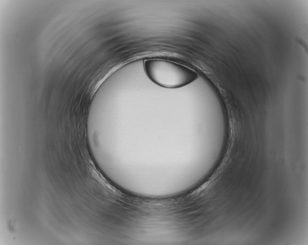 X0000102791369200808180944