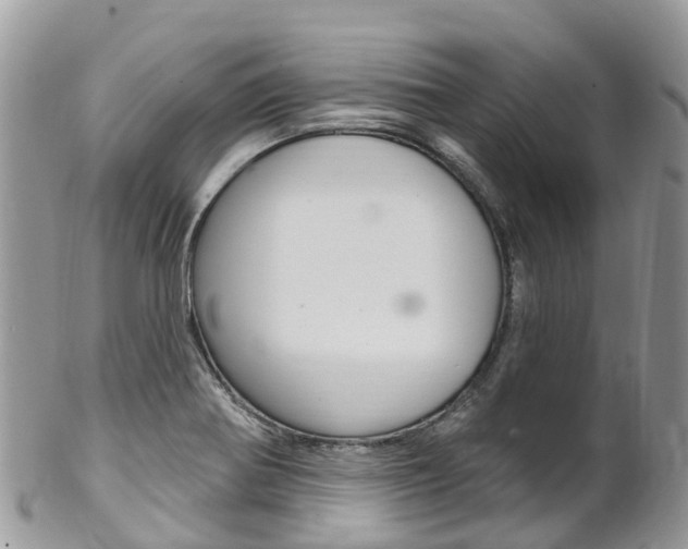X0000102791370200808180944