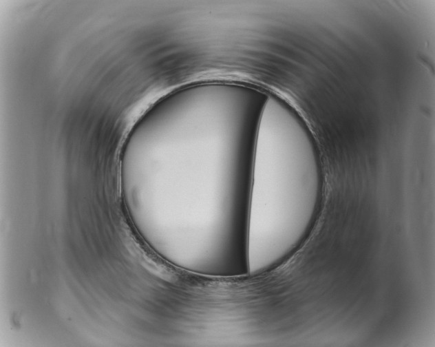 X0000102791371200808180944