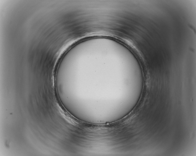 X0000102791372200808180944