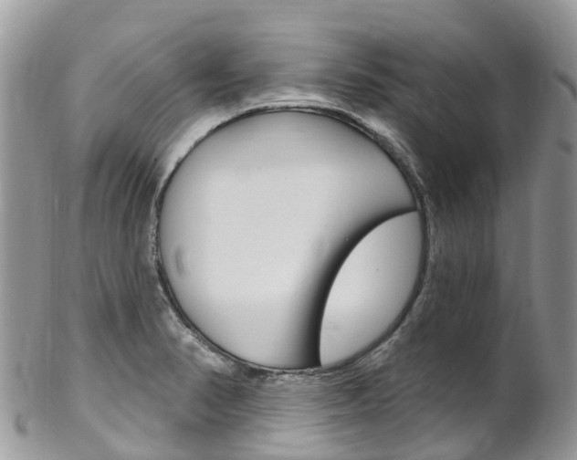 X0000102791374200808180944