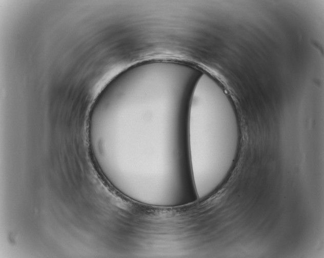 X0000102791375200808180944