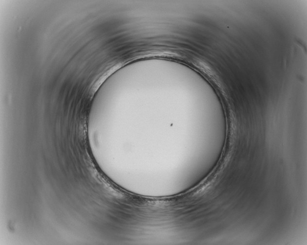X0000102791377200808180944