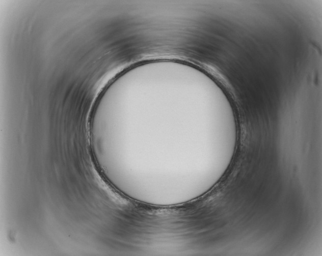 X0000102791380200808180944