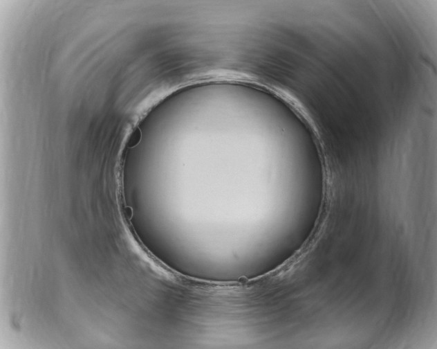 X0000102791381200808180944