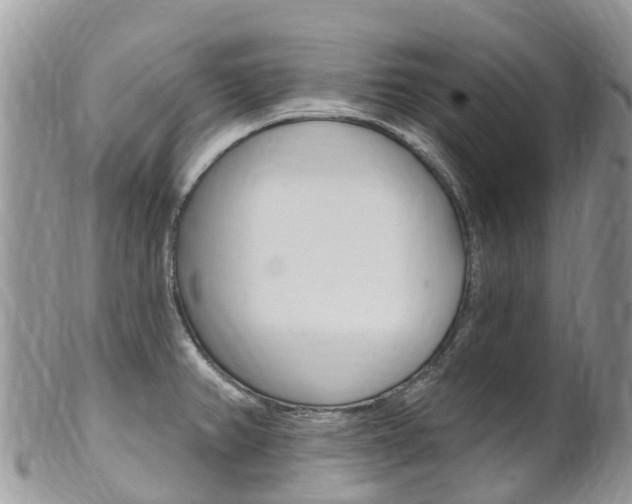 X0000102791382200808180944