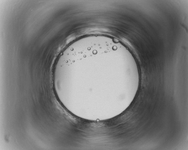 X0000102791384200808180944