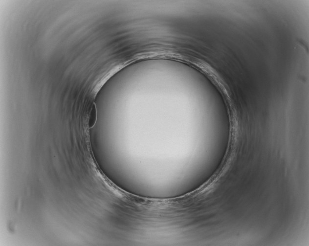 X0000102791385200808180944