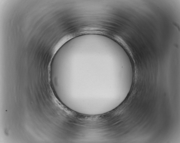 X0000102791386200808180944