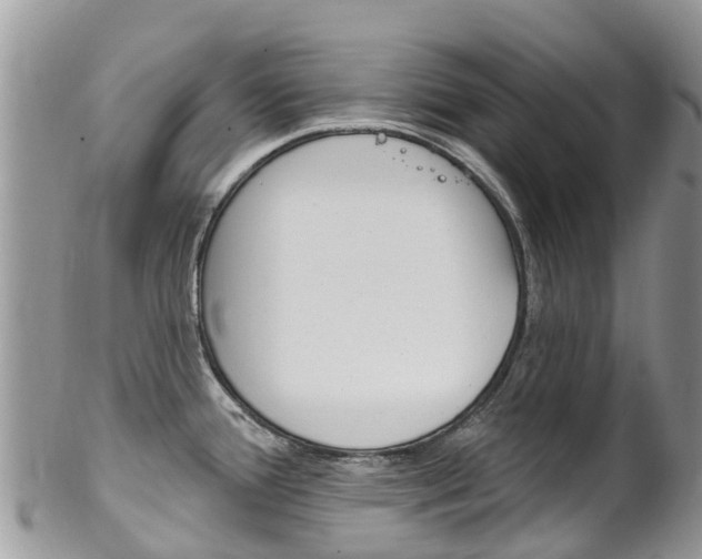 X0000102791388200808180944