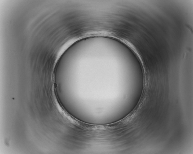 X0000102791389200808180944