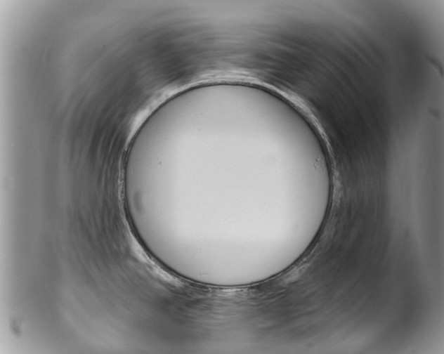 X0000102791390200808180944