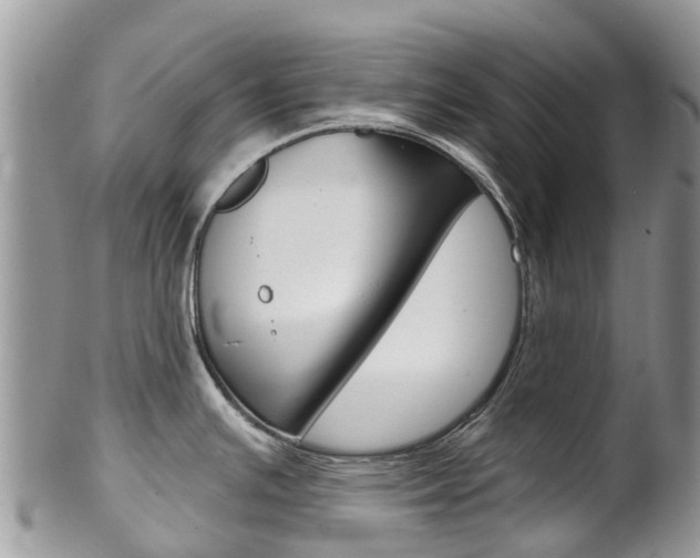 X0000102791391200808180944