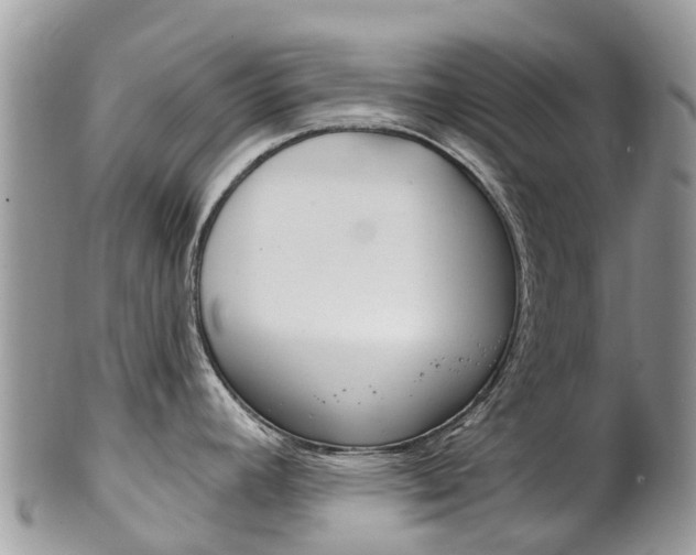 X0000102791392200808180944