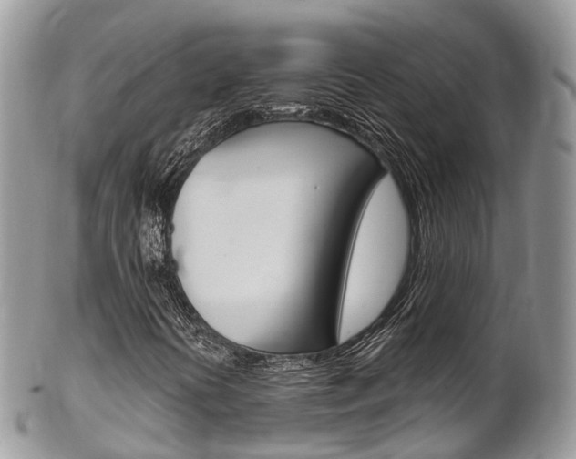 X0000102791394200808180943