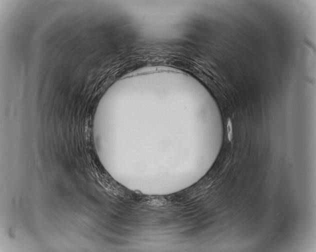 X0000102791395200808180943
