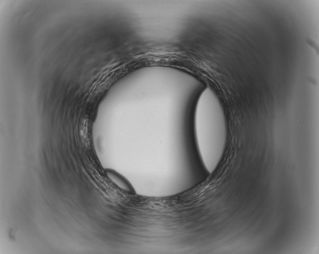 X0000102791396200808180943