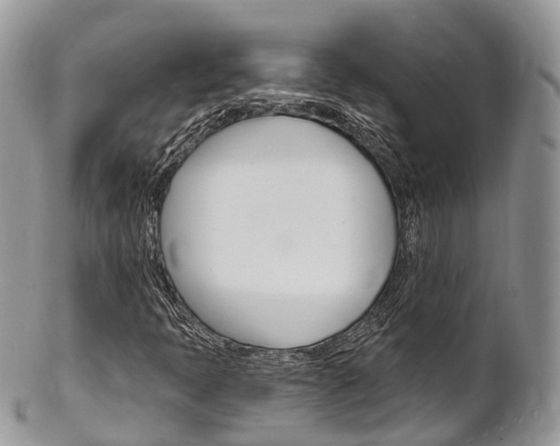 X0000102791397200808180943