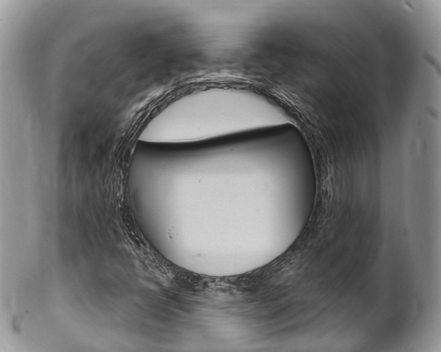 X0000102791398200808180943