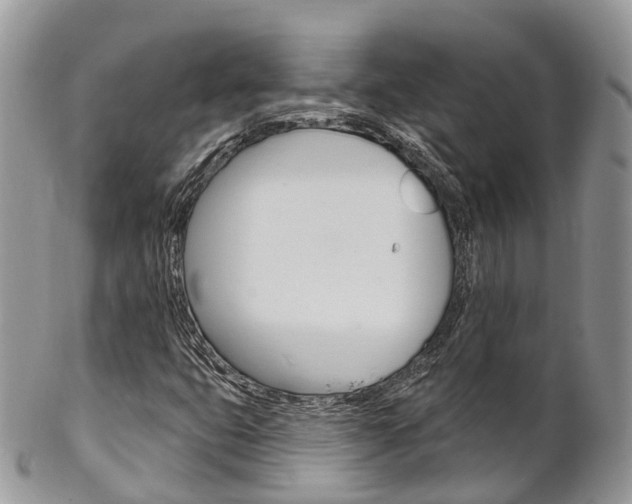 X0000102791399200808180943