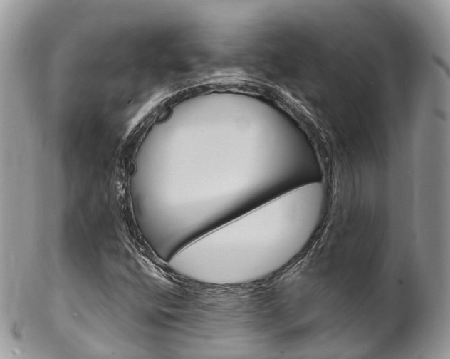 X0000102791400200808180943