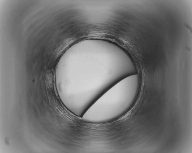 X0000102791401200808180943
