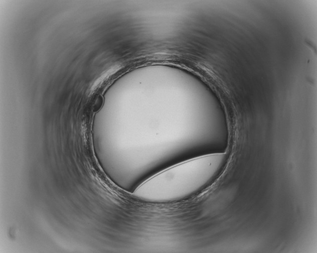 X0000102791402200808180943