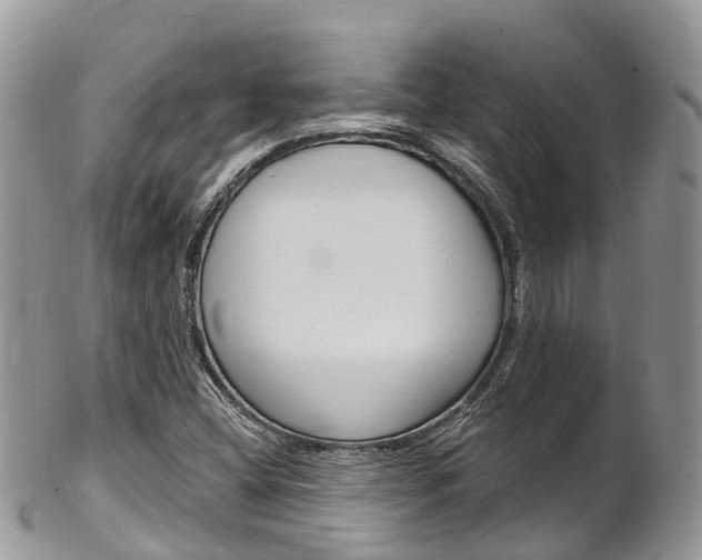 X0000102791404200808180943